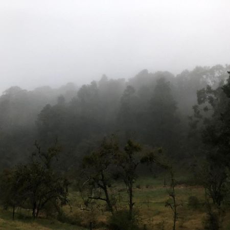 Cabana Romantica En El Bosque! Acaxochitlán エクステリア 写真