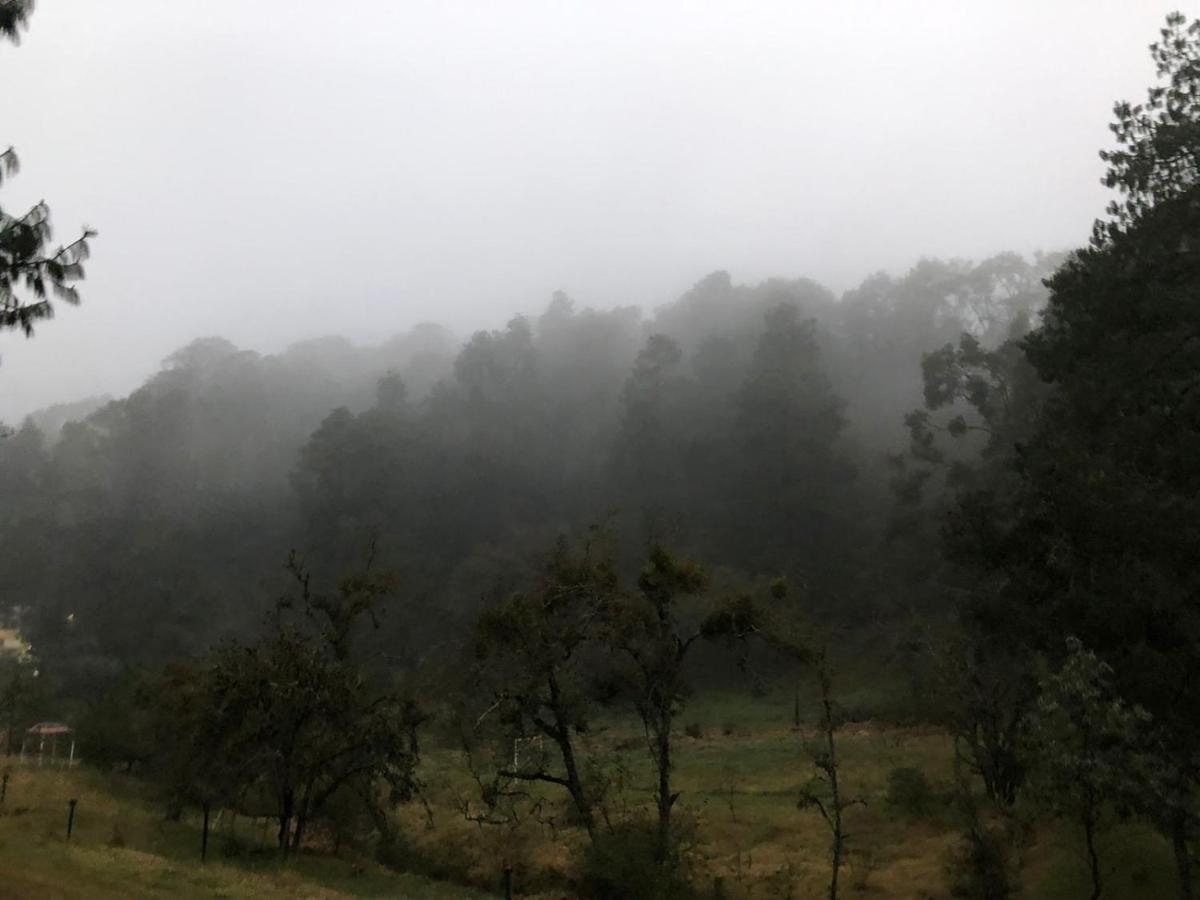 Cabana Romantica En El Bosque! Acaxochitlán エクステリア 写真